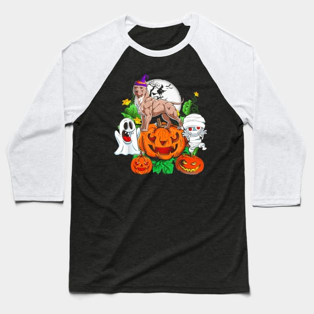 Halloween Costume Pitbull Boo Pumpkin Funny Gift Idea Baseball T-Shirt by Antoniusvermeu